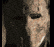 Stigmartyr